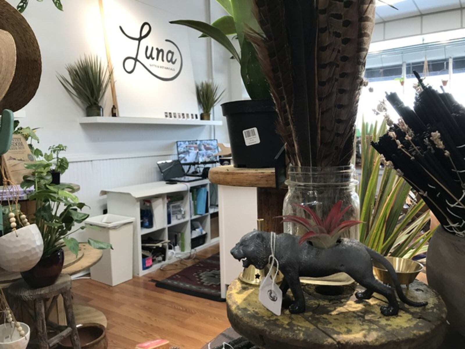 Luna Gifts & Botanicals is at 261 Wayne Ave. CONTRIBUTED