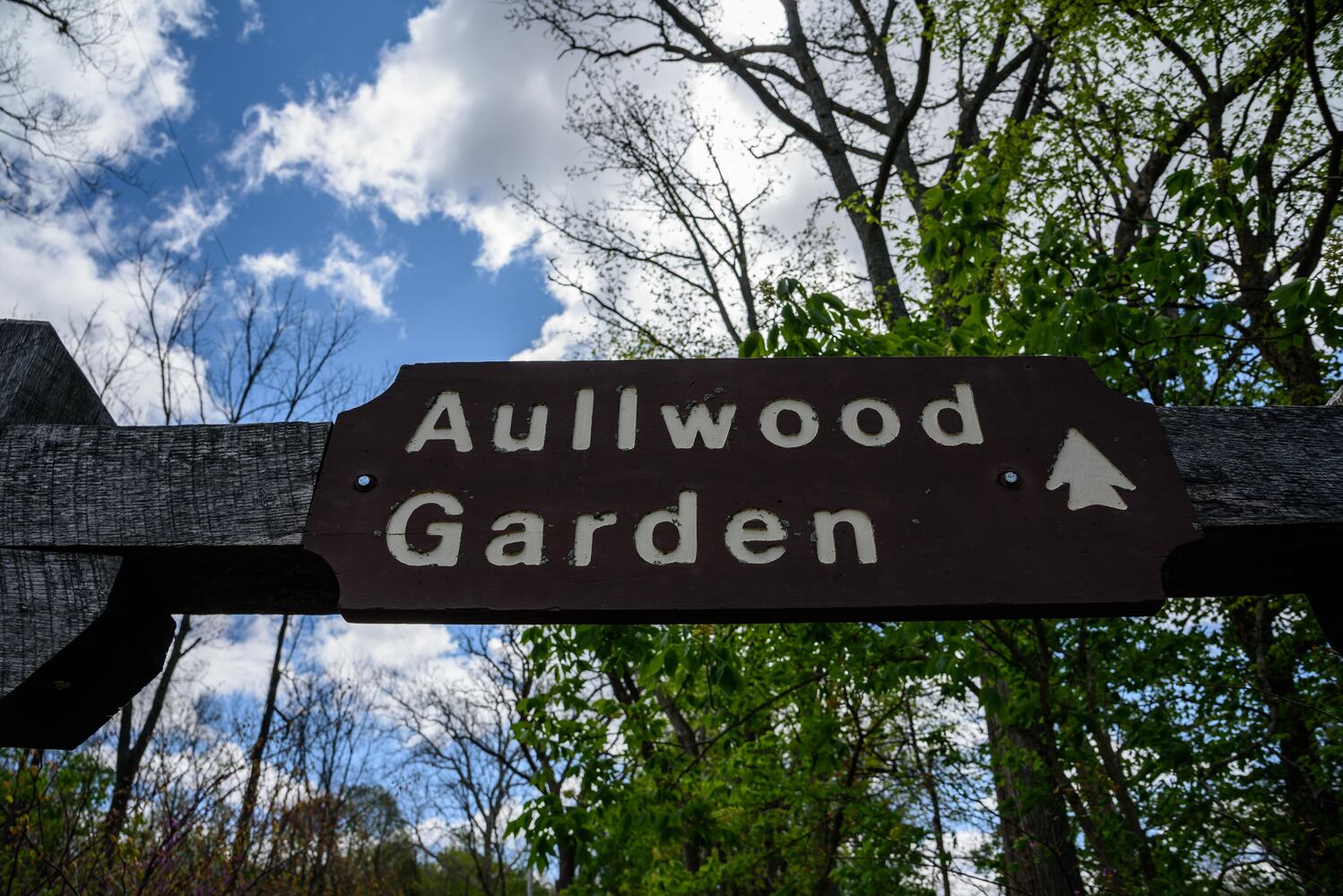 PHOTOS: Gorgeous Aullwood Garden is in full bloom