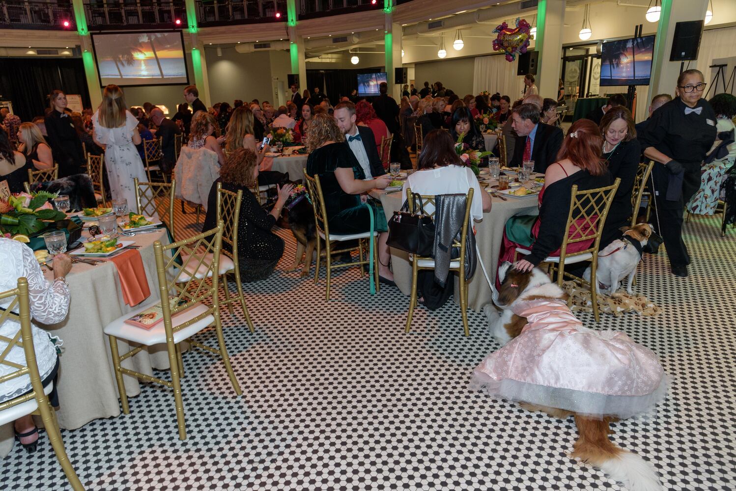 PHOTOS: Did we spot you at the Pet Afflaire Gala at the Dayton Arcade?