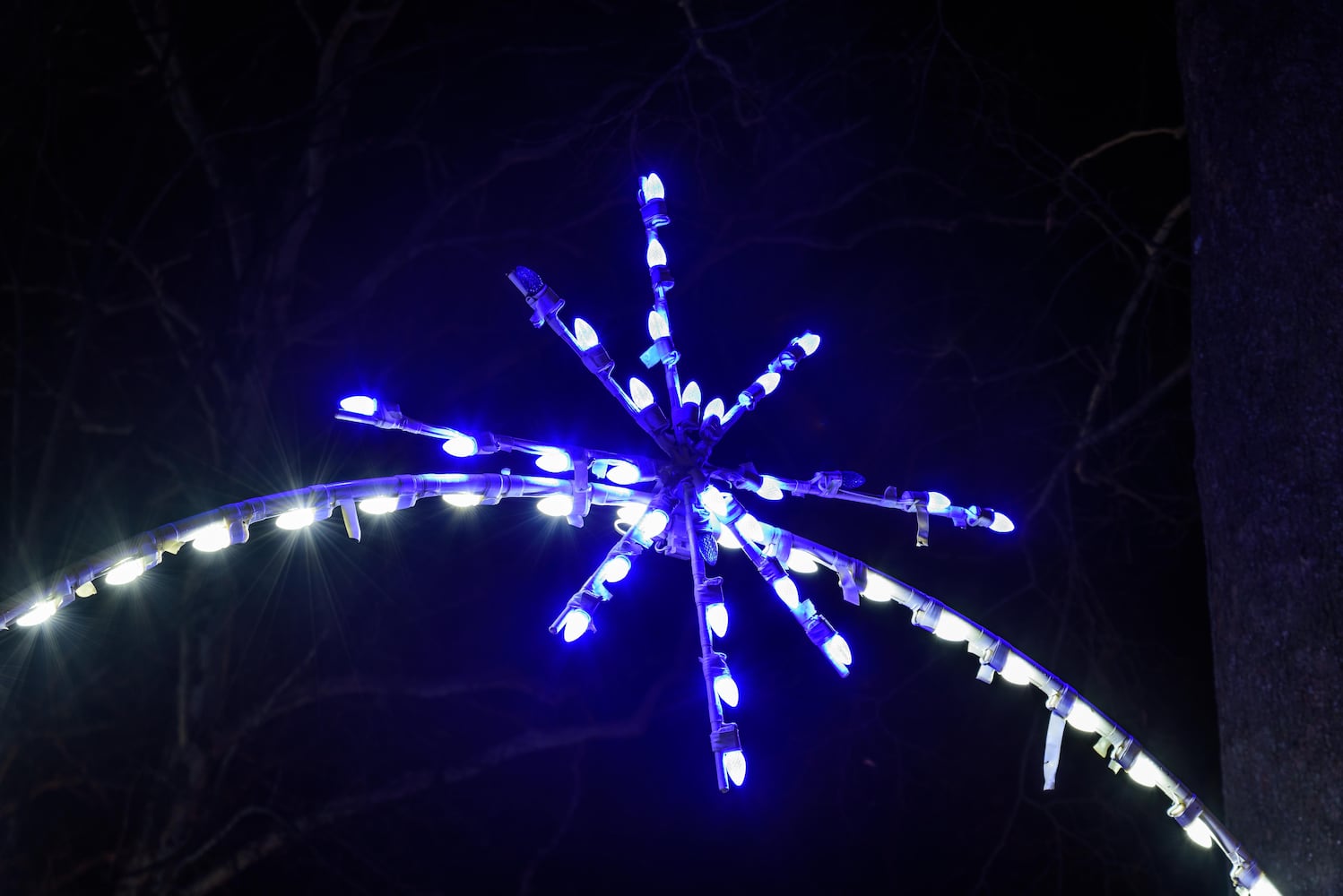 PHOTOS: A walk through Woodland Lights in Washington Township