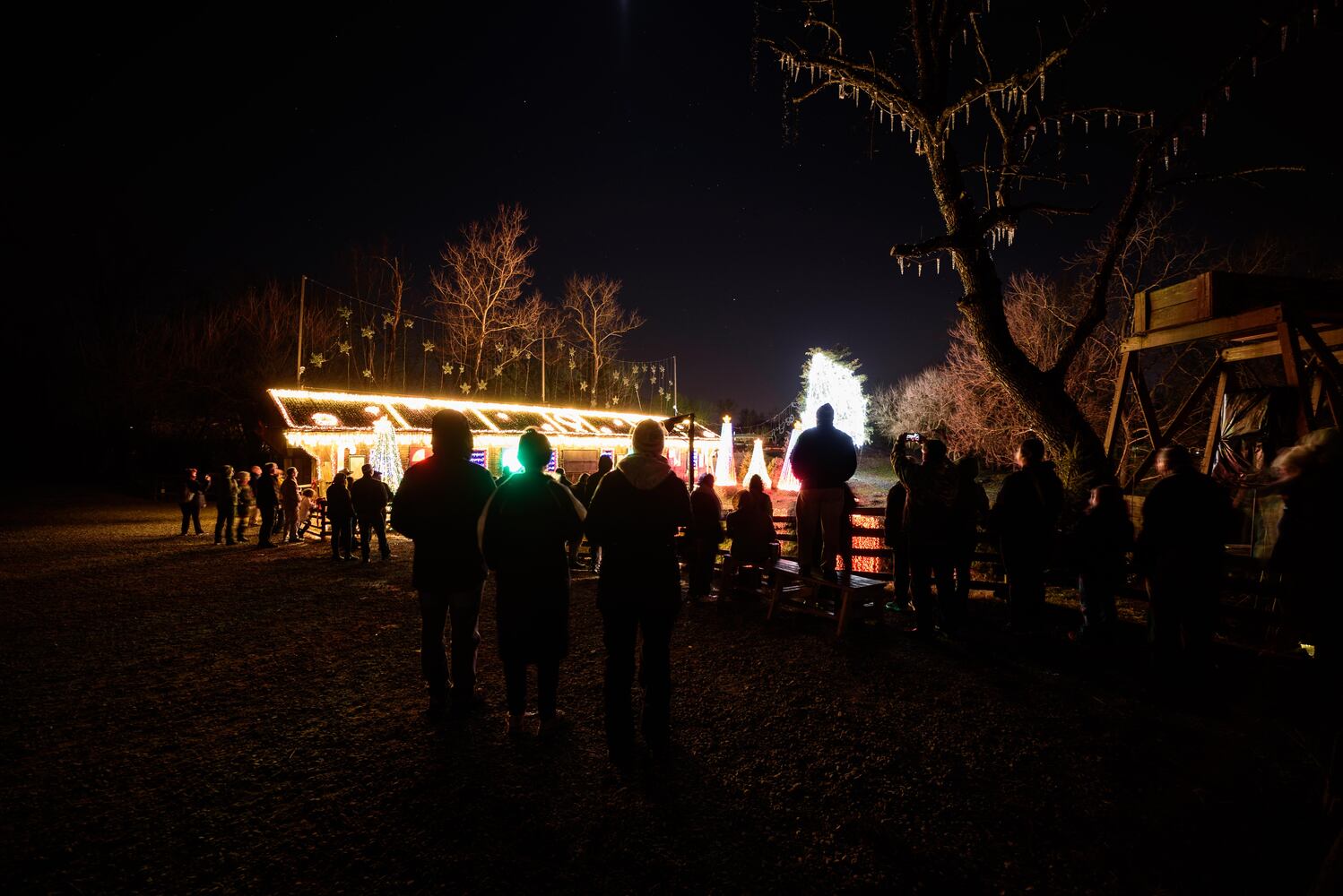PHOTOS: Clifton Mill lights up for another magical holiday season