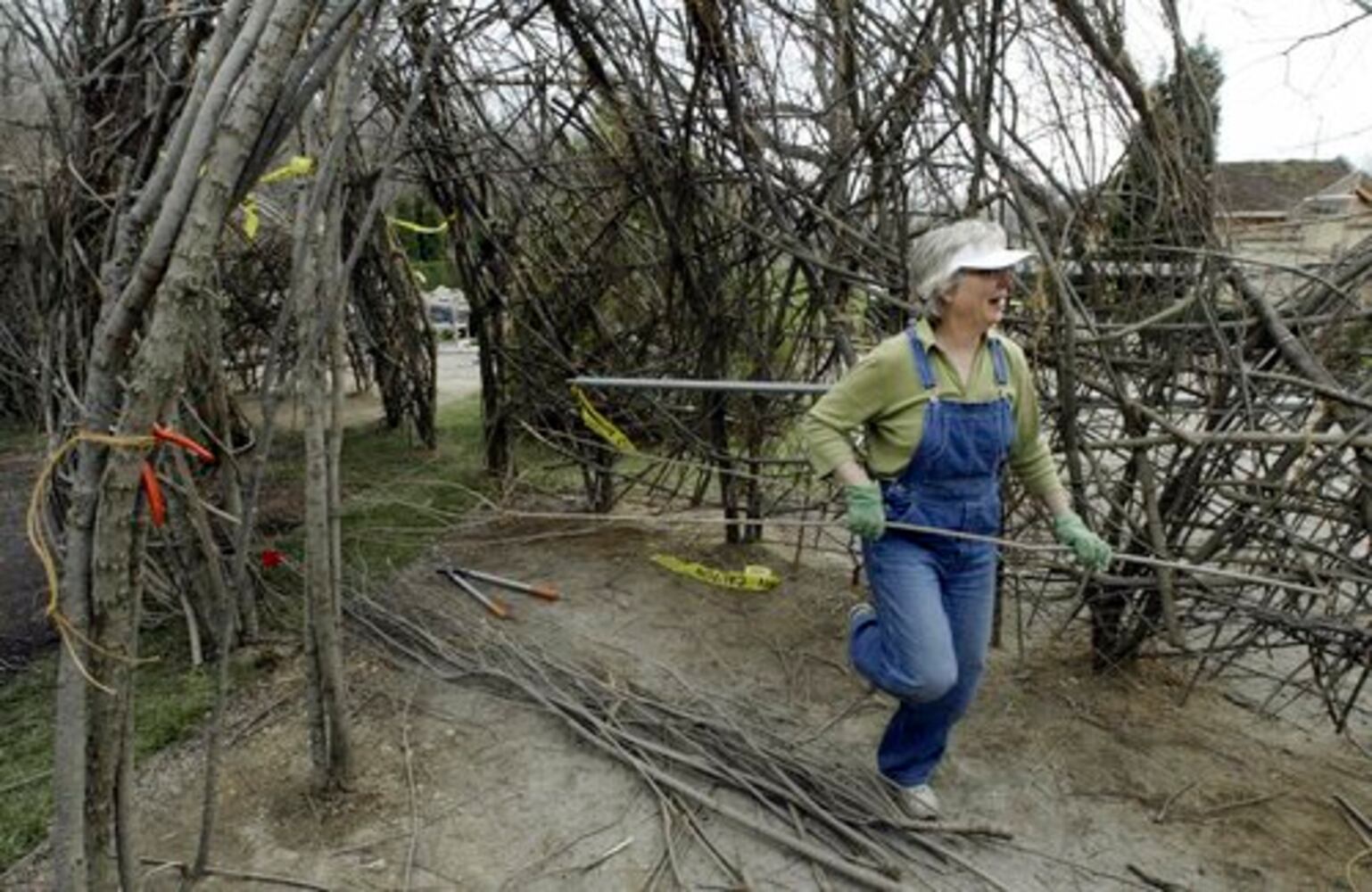 "Woven Wood" artist Patrick Dougherty
