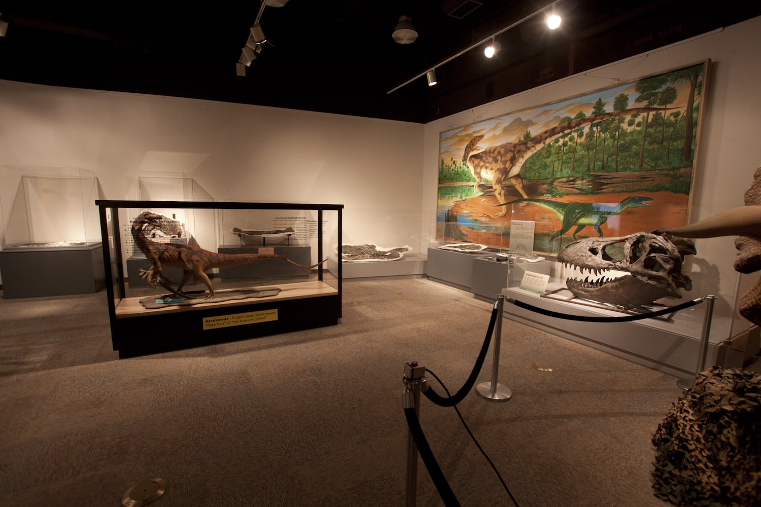 SNEAK PEEK: Here’s a glimpse inside Boonshoft’s brand new DINO attraction that’s got everyone excited