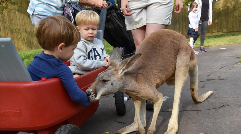 Get vaccinated for COVID-19 at the Cincinnati Zoo & Botanical Center   June 15 and admission is free. CINCINNATI ZOO & BOTANICAL CENTER