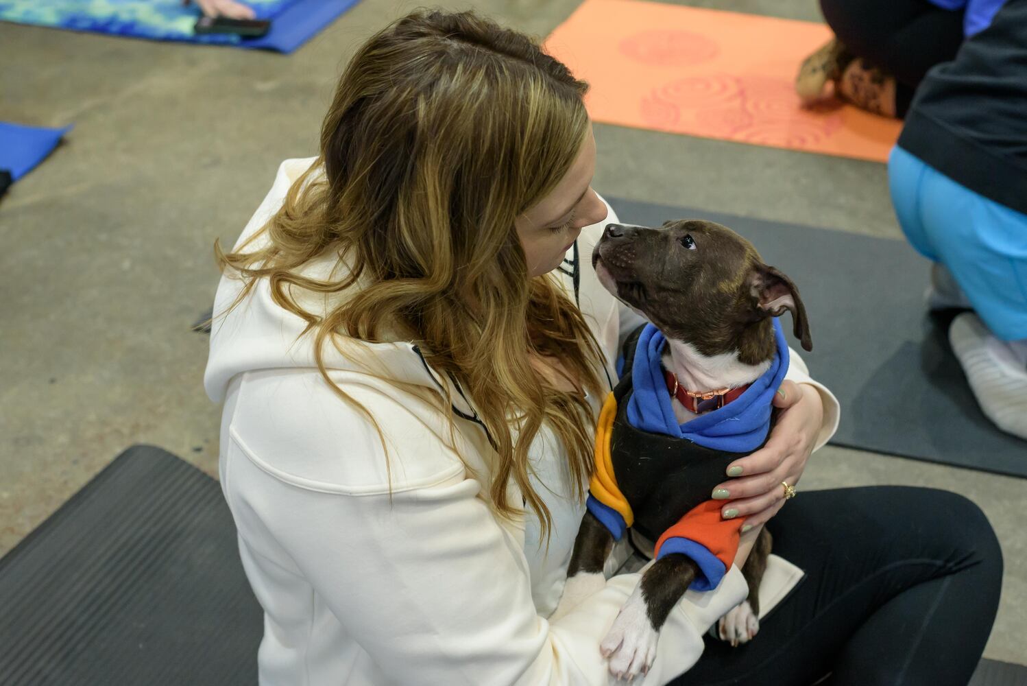 PHOTOS: Puppy Yoga with Adopt a Pit at Base Camp Outdoors Co. in downtown Dayton