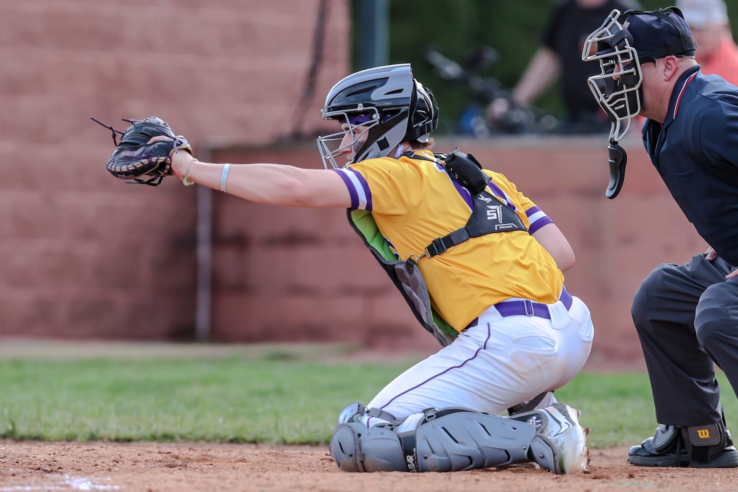 butler tipp baseball