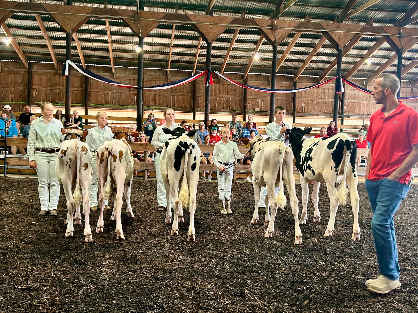 Five 4-H members line up to be judged during the 2025 dairy open class on Monday, July 21. TAYLOR STUMBAUGH/STAFF