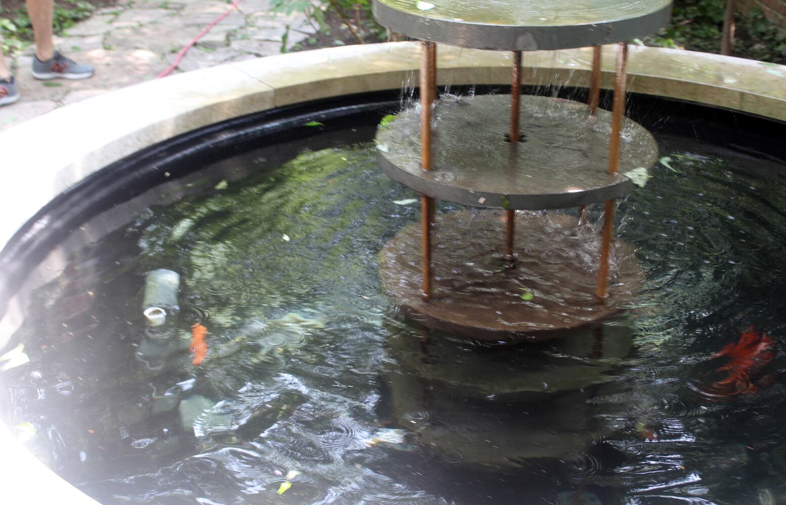 Josh Stucky's secret garden