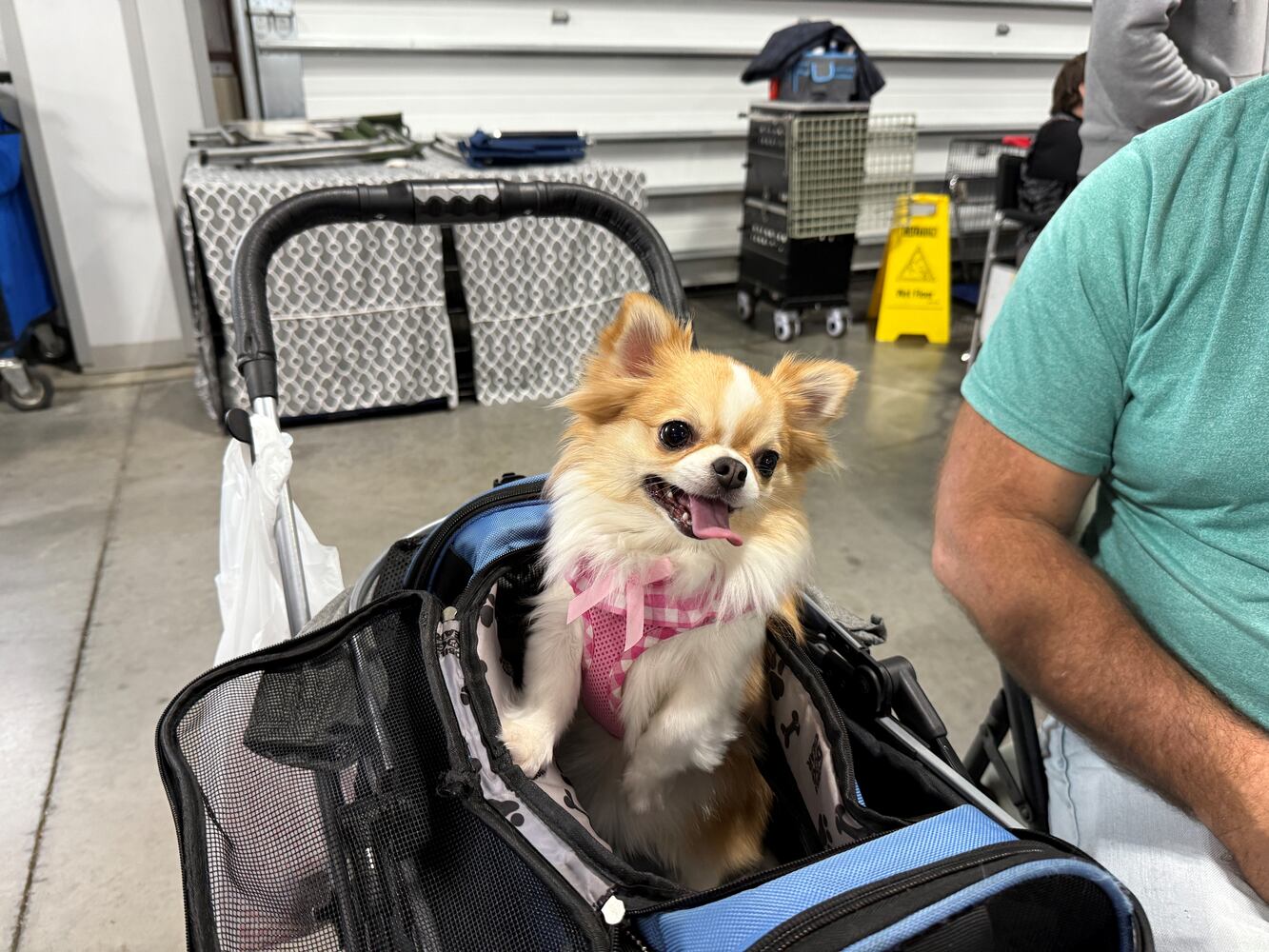 Fort St. Clair Kennel Club Dog Show