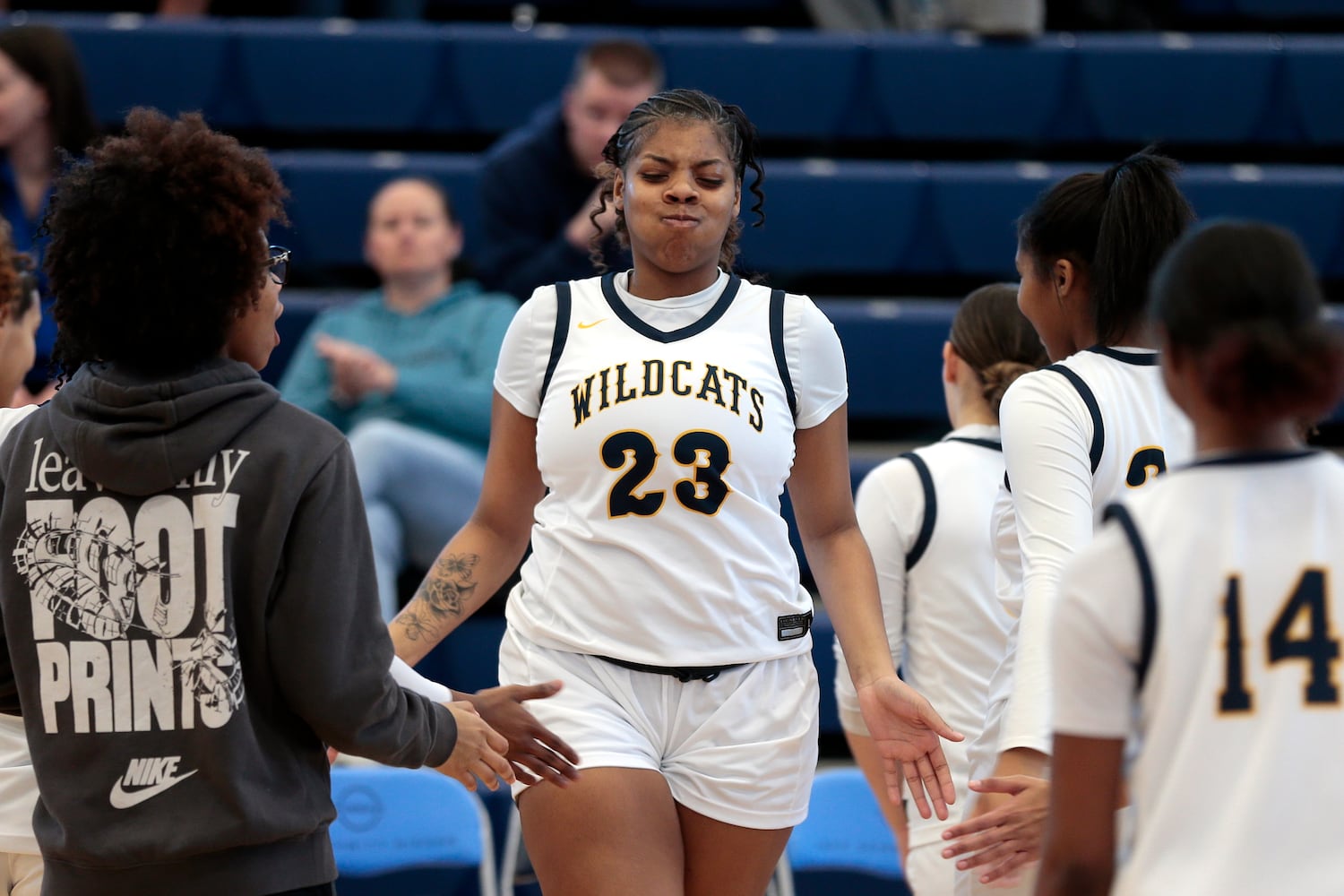 Wayne Beavercreek basketball