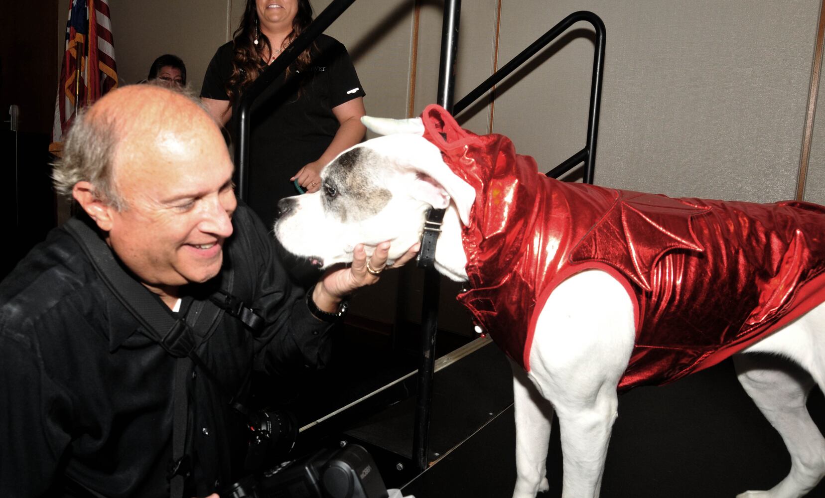 Did we spot you at Dogs on the Catwalk?