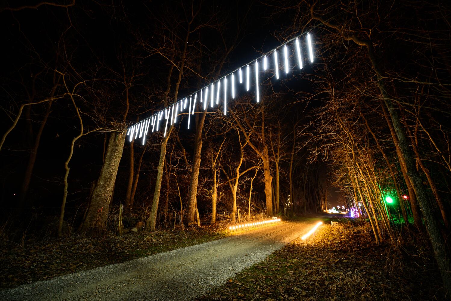 PHOTOS: Holiday Lights dazzle at Lost Creek Reserve in Troy