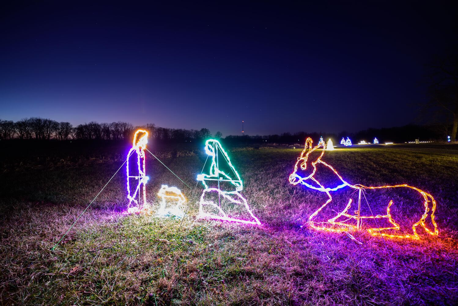 PHOTOS: Holiday Lights dazzle at Lost Creek Reserve in Troy