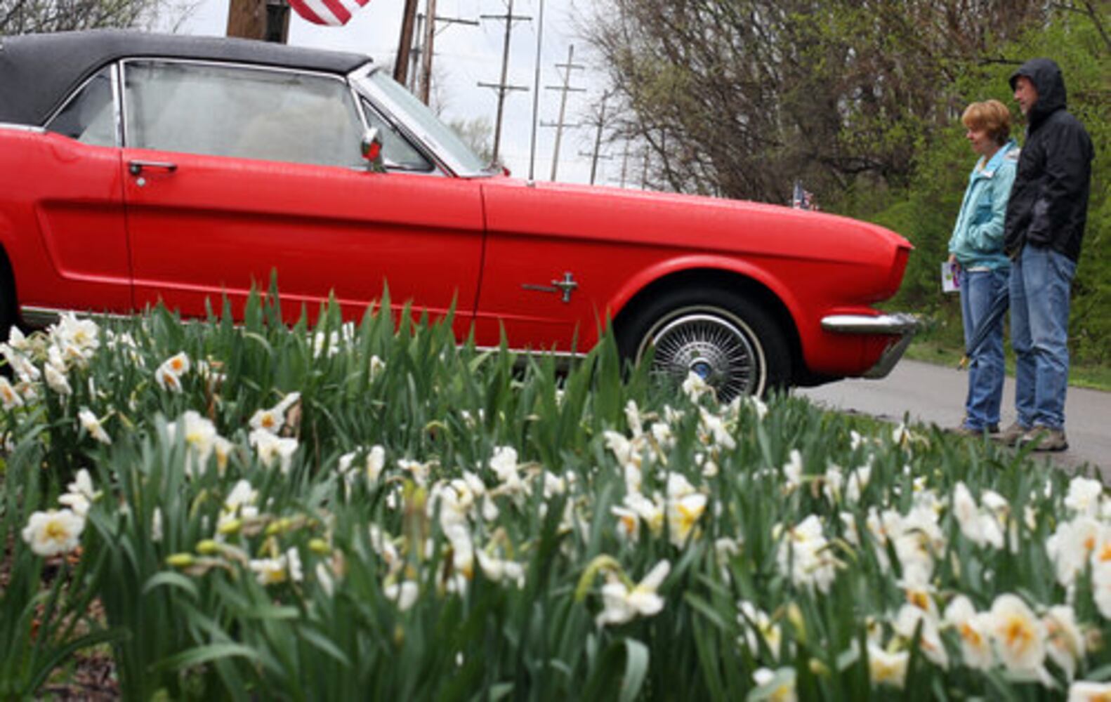 Spring Bulb Festival