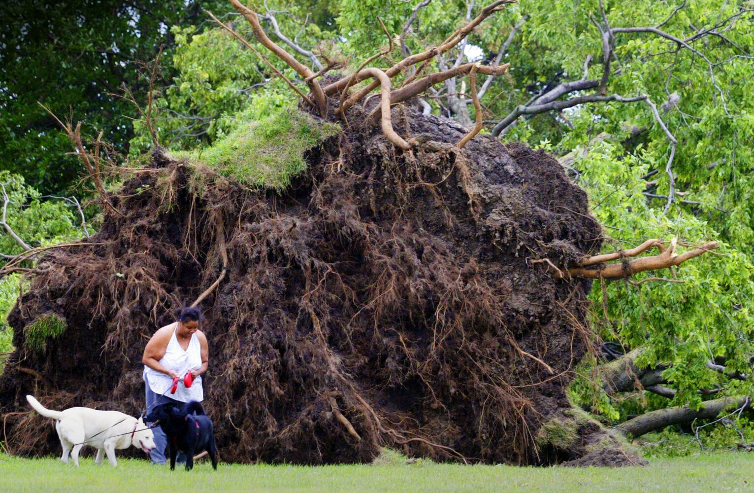 Hurricane Ike blasts the Miami Valley a decade ago