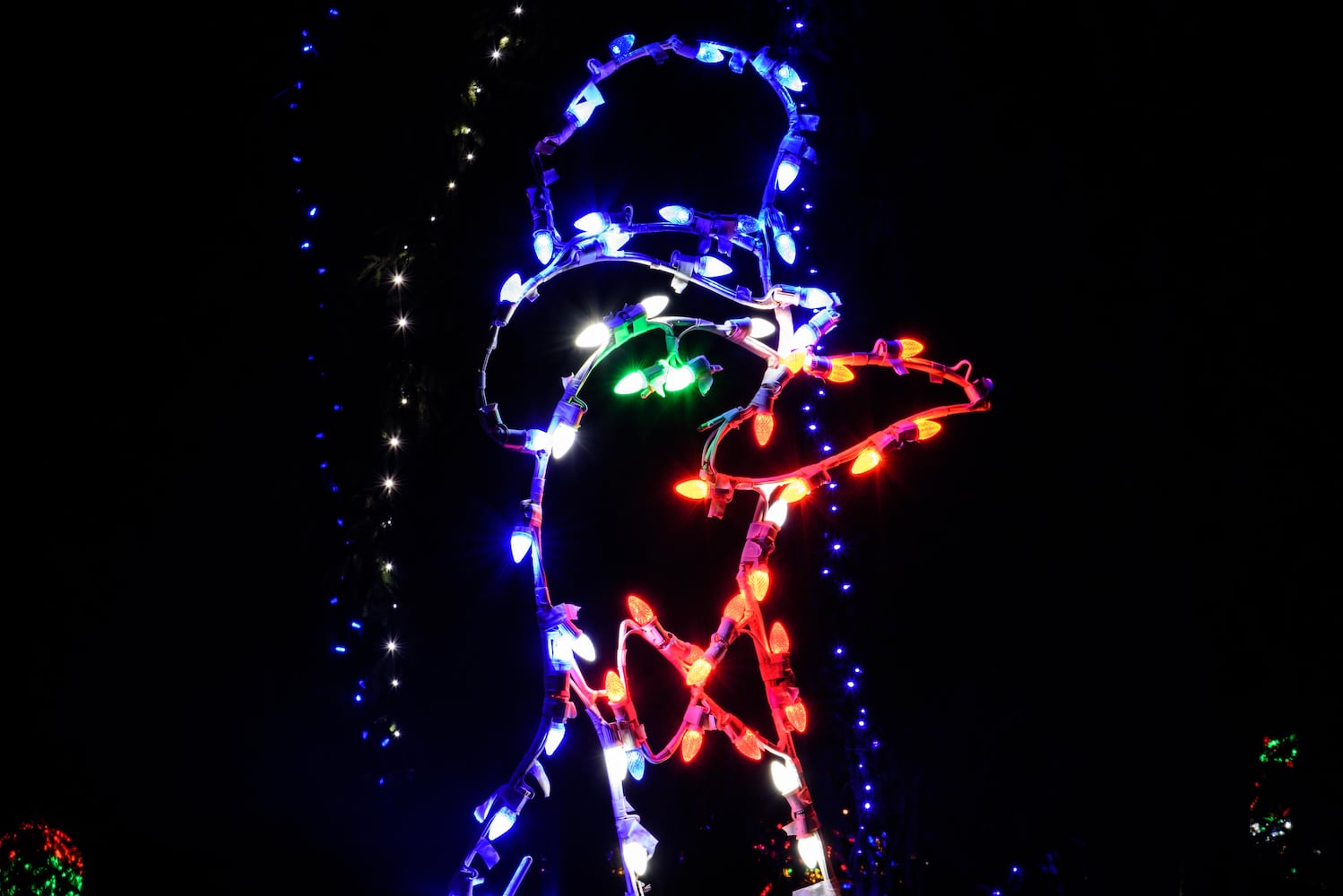 PHOTOS: A walk through Woodland Lights in Washington Township