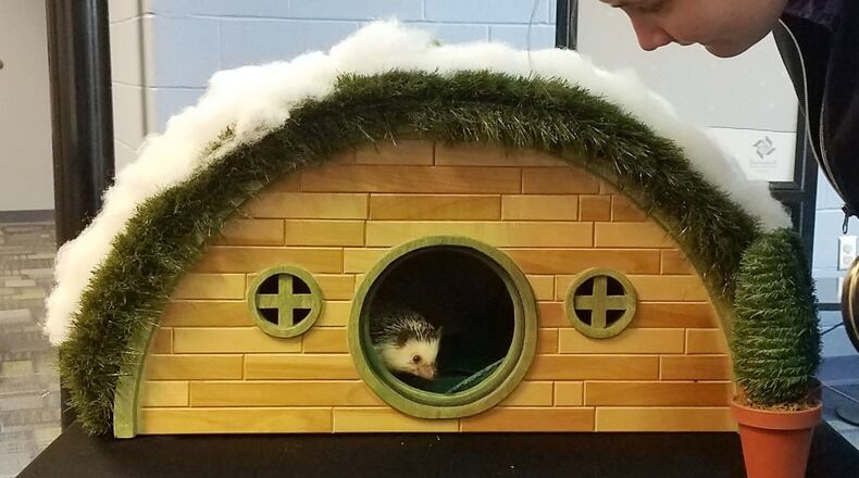 Quilliam , the Boonshoft Museum of Discovery hedgehog, has died.