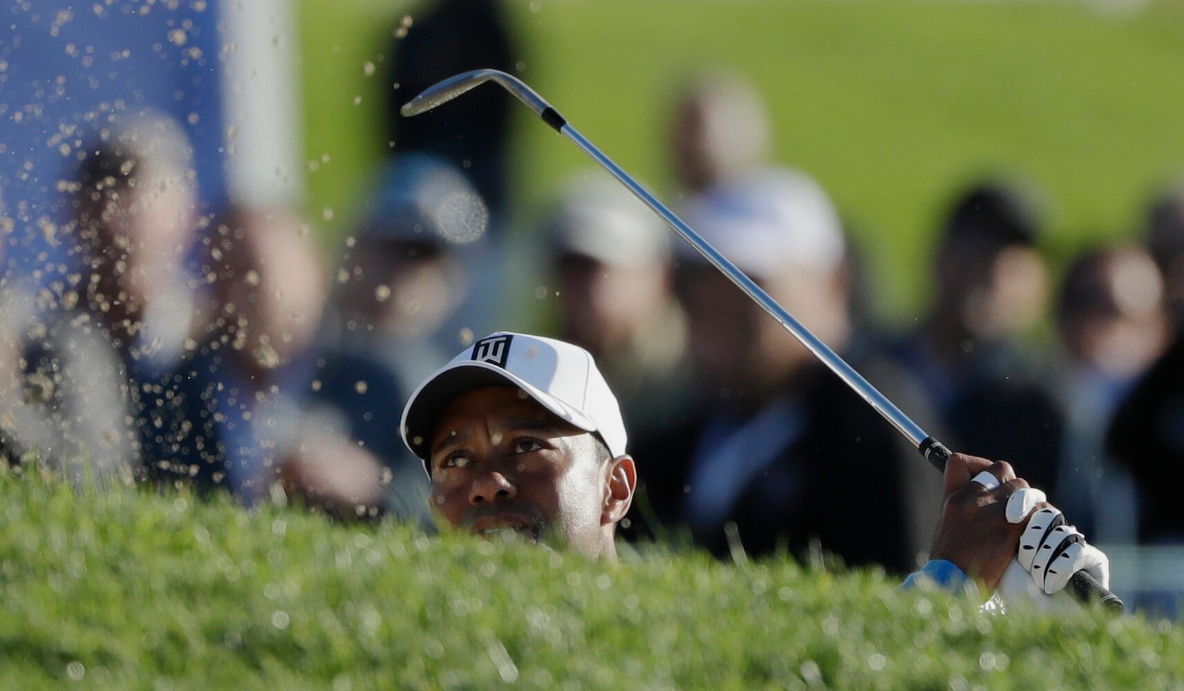 Tiger Woods