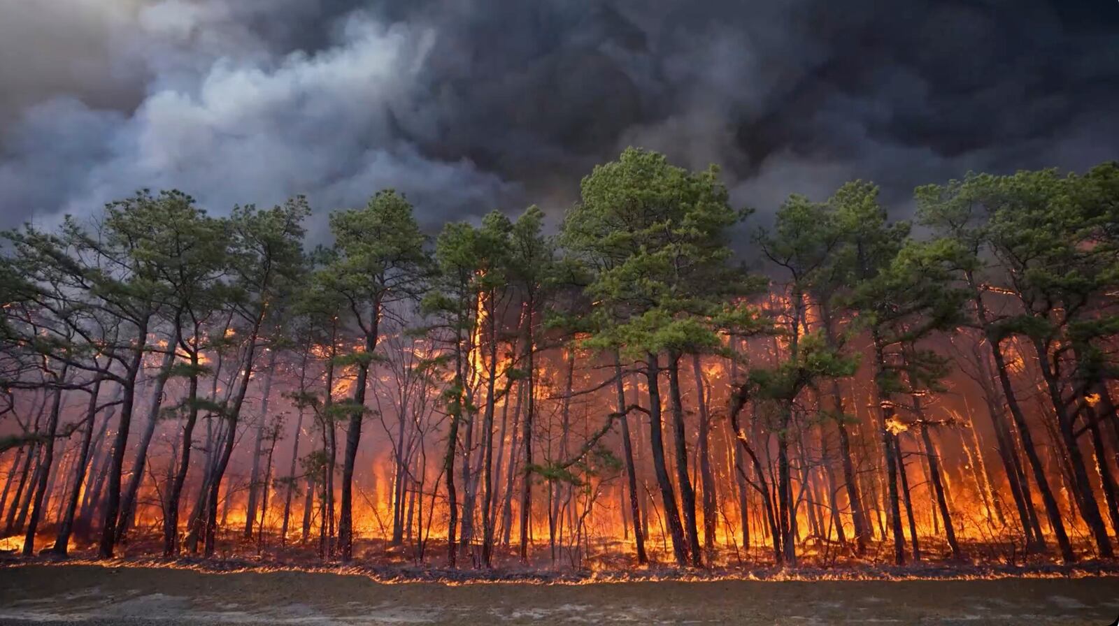 Smoke fills the sky from a wildfire in Lacey Townships, N.J. on Tuesday, April 22, 2025. (New Jersey Department of Environmental Protection via AP)
