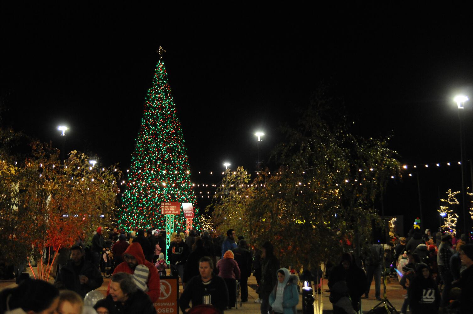 PHOTOS: Budweiser Clydesdales, Santa and more early holiday fun at Austin Landing’s tree lighting