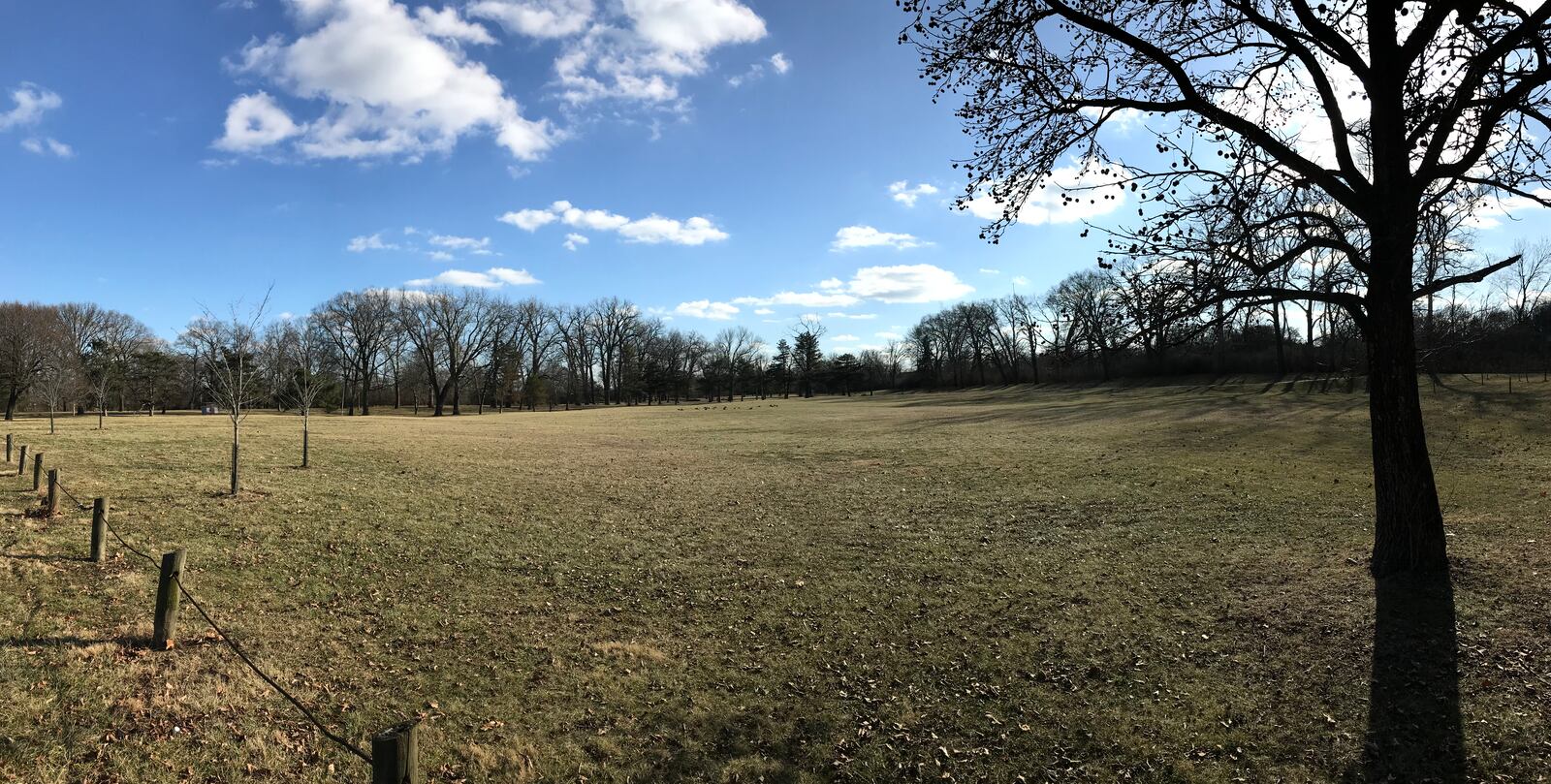 A vacant field that is part of Triangle Park, the site of the first NFL game, in North Dayton (Photo: Marcus Hartman/CMGO)