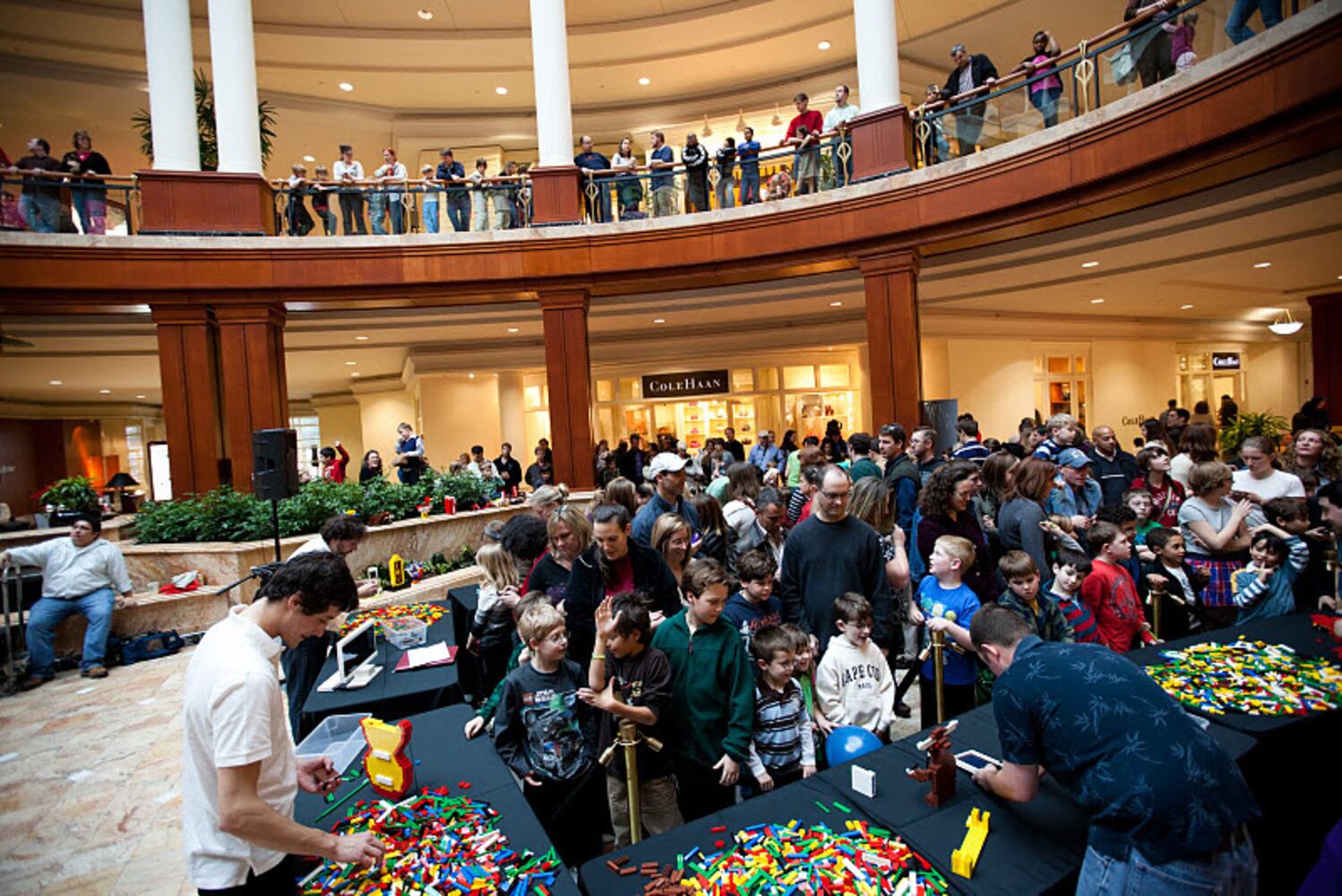 LEGO Master Builder Competition at Phipps