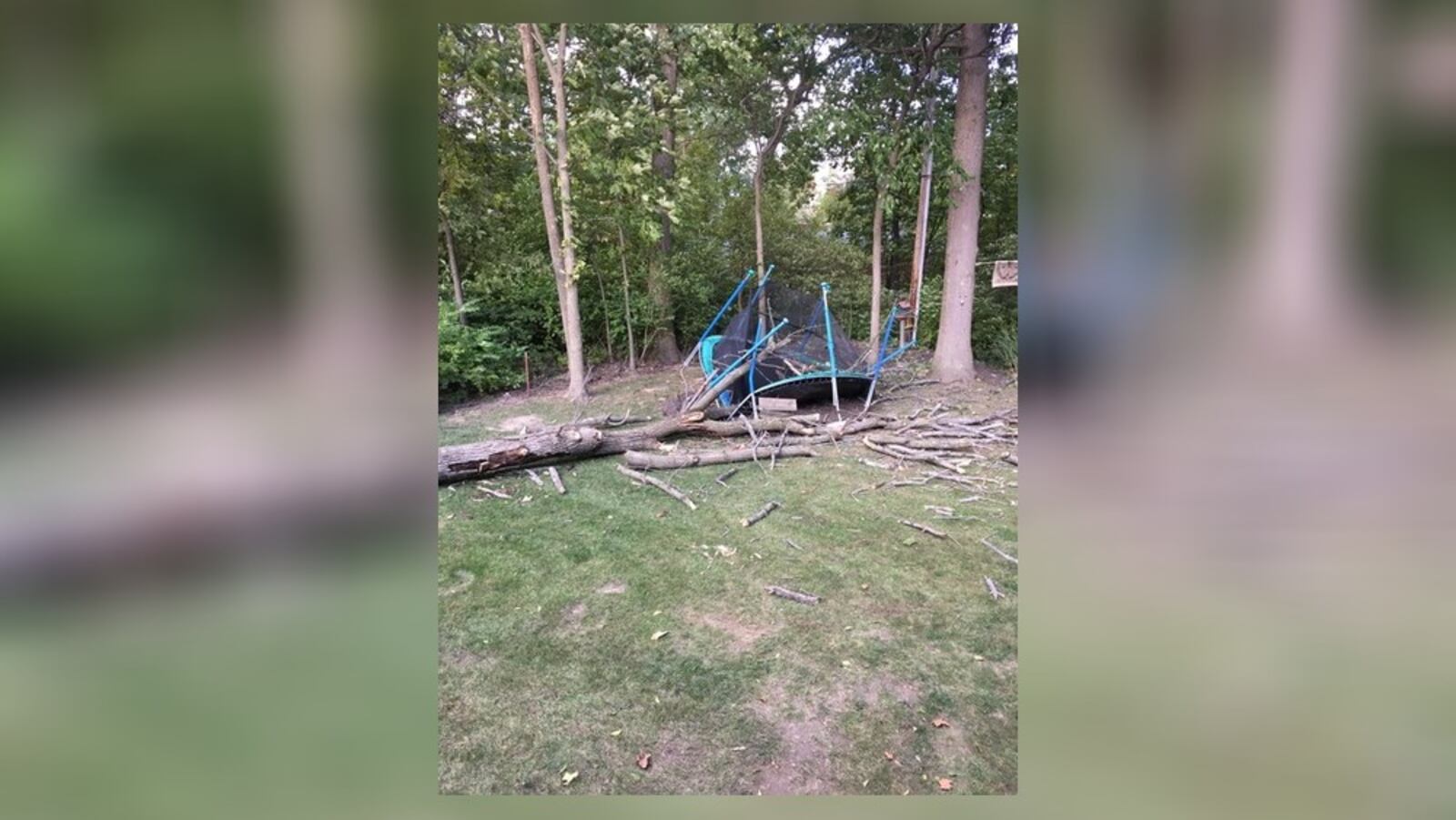Tree falls on trampoline in Huber Heights