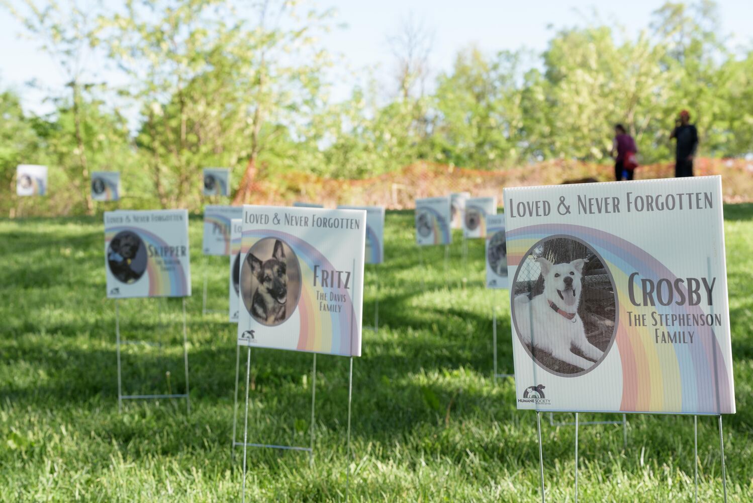 PHOTOS: Did we spot you and your doggie during the Furry Skurry 5K & Furry Fest at Eastwood MetroPark?