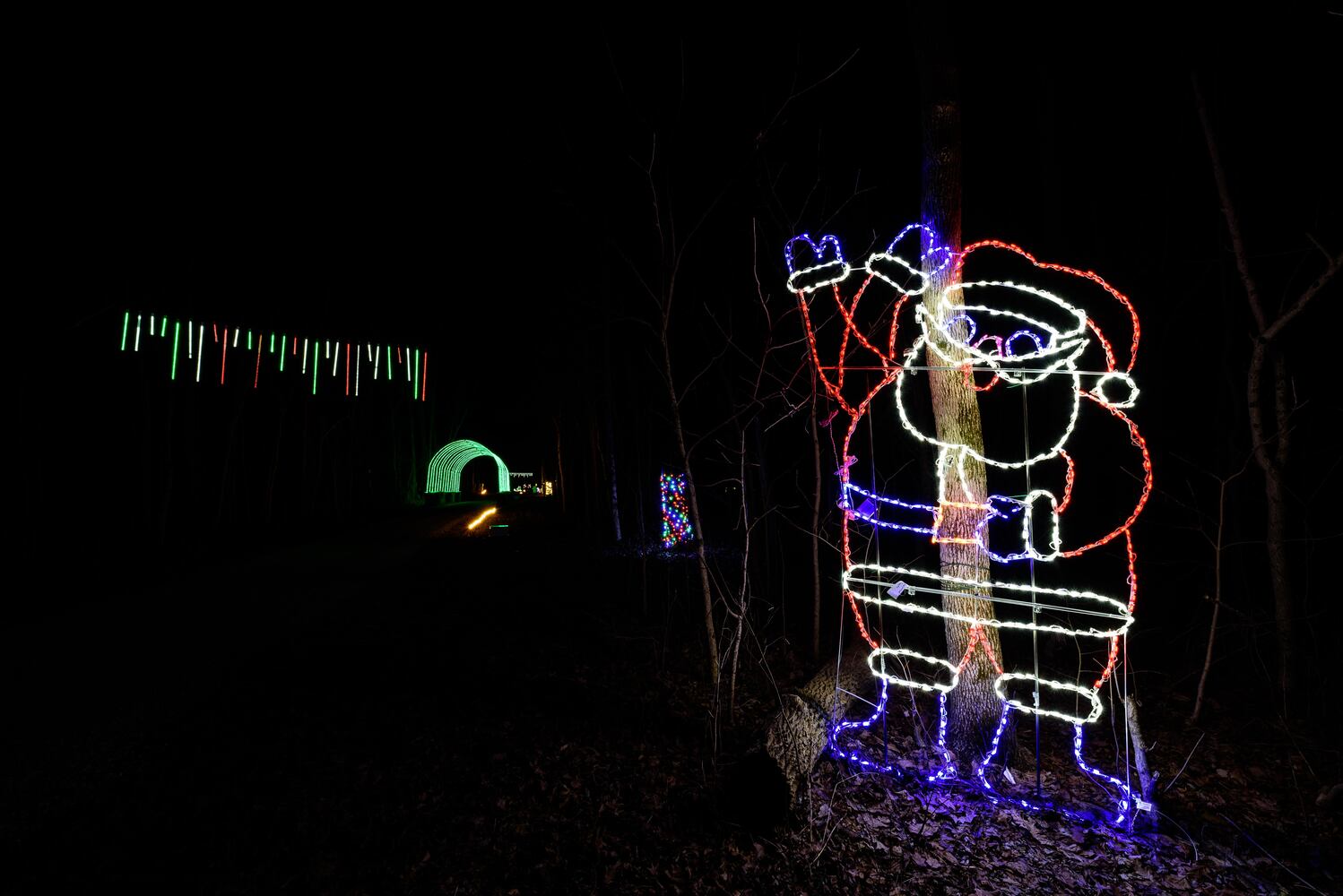 PHOTOS: Holiday Lights dazzle at Lost Creek Reserve in Troy