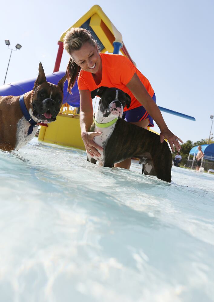 News hounds (8/21/2014)