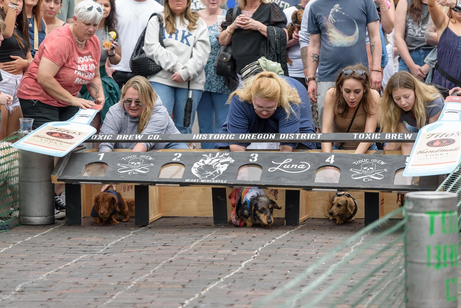 PHOTOS: 6th annual Derby Day Wiener Dog Races in The Oregon District