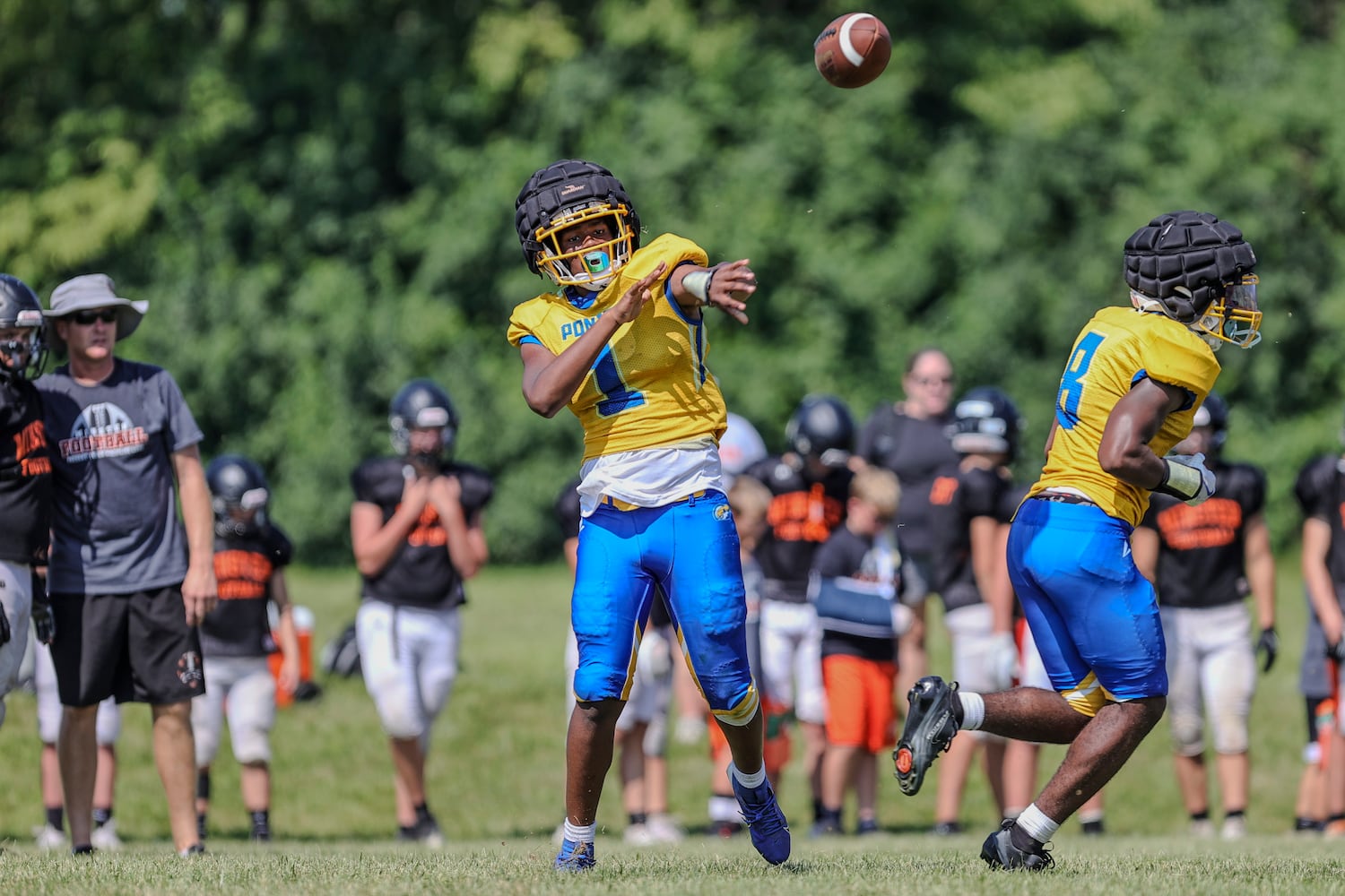 hsfb 2025