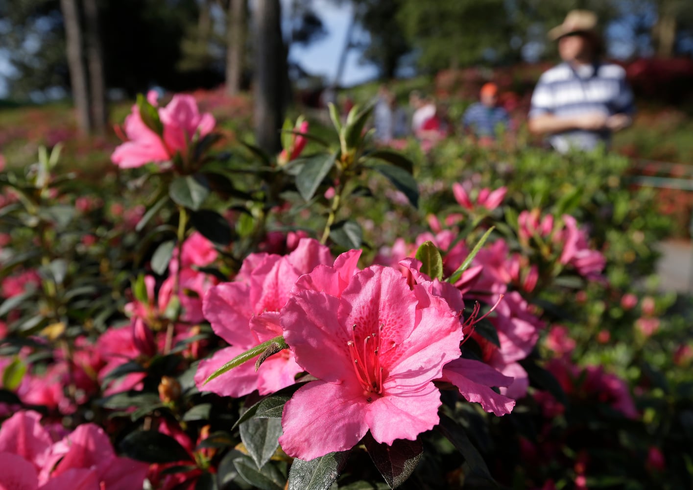 The scene at Augusta National April 8