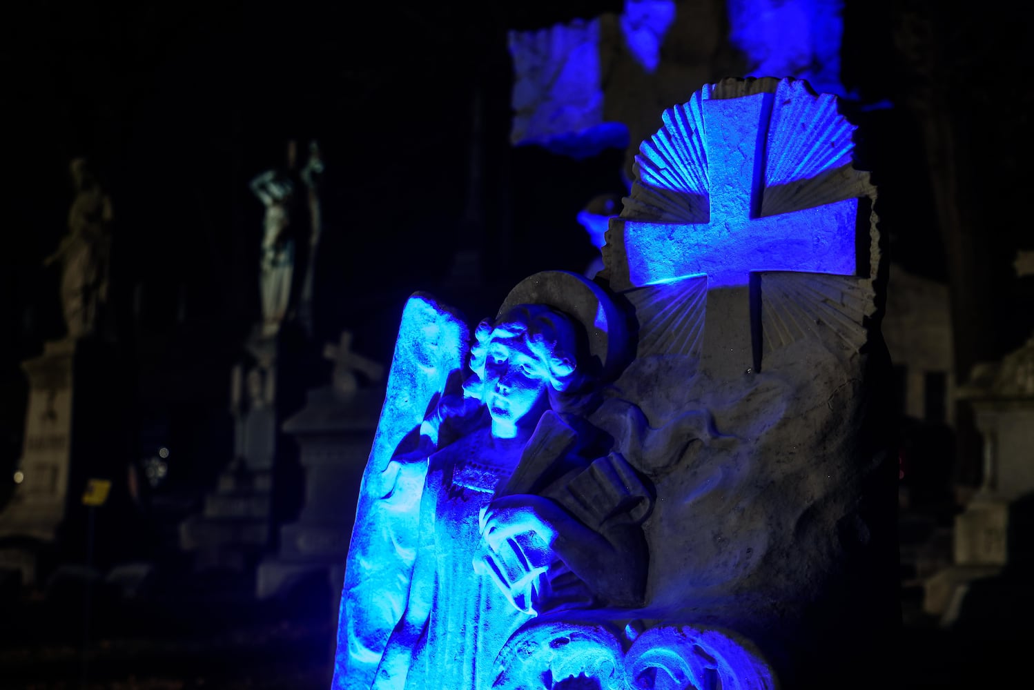 PHOTOS: Angel Night at Calvary Cemetery