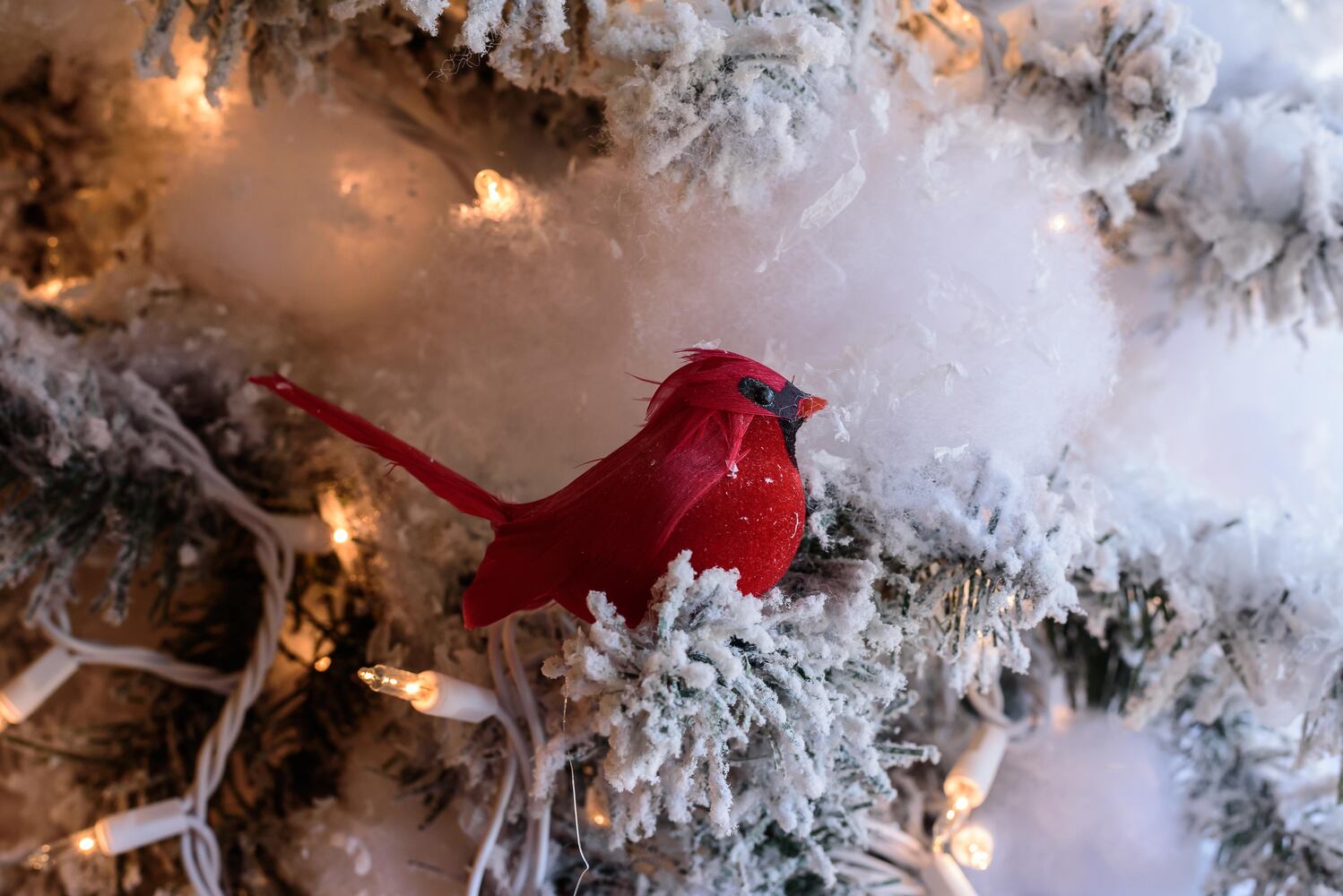 Waynesville Hearth Warming Holiday 2020