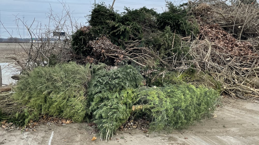 Christmas tree recycling is an important part of reducing holiday waste. PHOTO COURTESY OF MONTGOMERY COUNTY ENVIRONMENTAL SERVICES