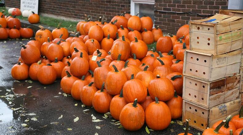 Bradford pays homage to pumpkins with a five-day community celebration. CONTRIBUTED