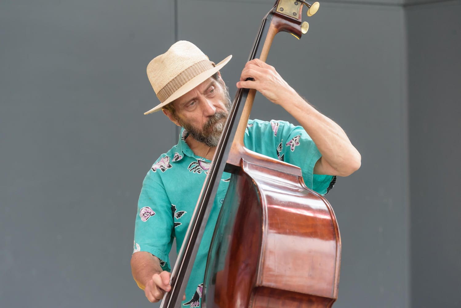 PHOTOS: 2025 Amplified Series Jazz Fest at Levitt Pavilion