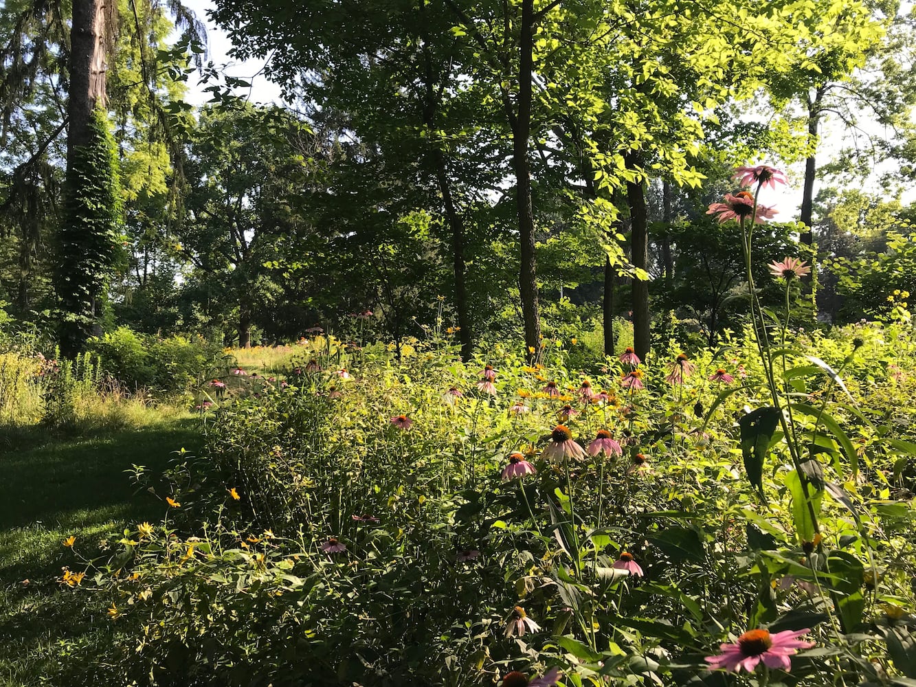 PHOTOS: This hidden park on the side of the road might be one of Dayton’s most peaceful spots