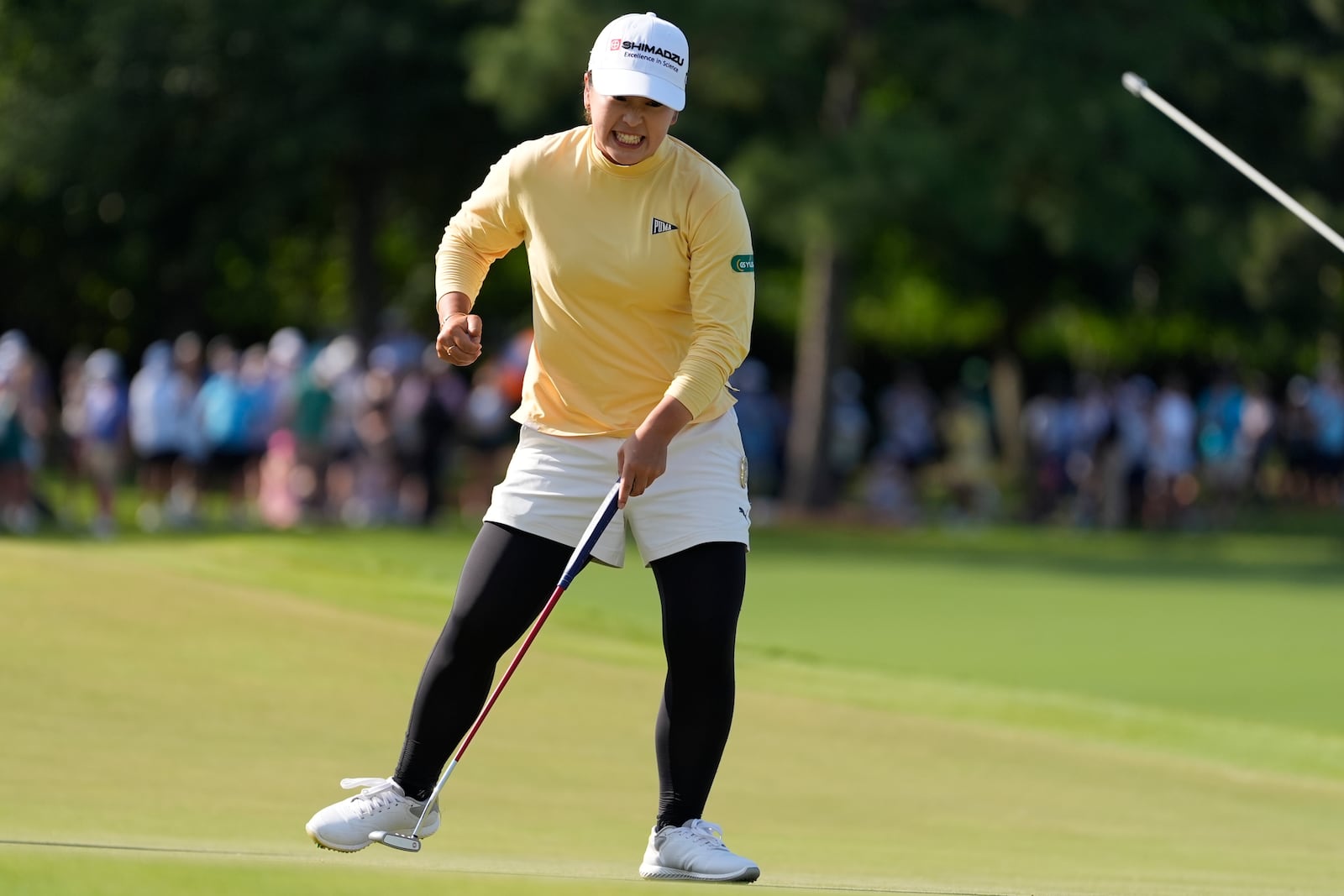 Mao Saigo, of Japan, celebrates her birdie putt on the 18th green during a playoff of the Chevron Championship LPGA golf tournament Sunday, April 27, 2025, in The Woodlands, Texas. (AP Photo/Ashley Landis)