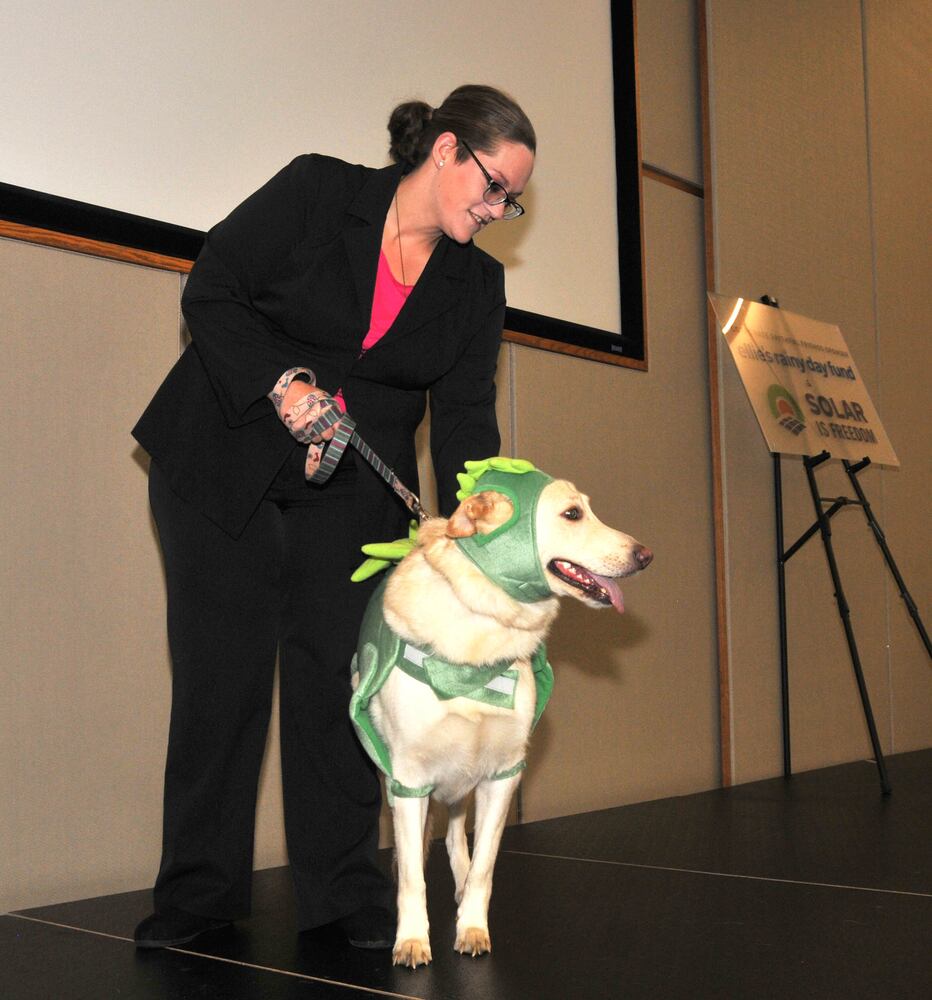 Did we spot you at Dogs on the Catwalk?