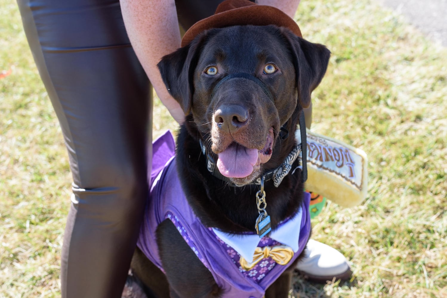 PHOTOS: Did we spot you and your dog at Wag-O-Ween at the Kettering Recreation Center?