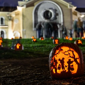 The 31st annual Stoddard Avenue Pumpkin Glow was celebrated on Grafton Hill behind Annunciation Greek Orthodox Church, located at 500 Belmonte Park North on Monday, Oct. 27 and Tuesday, Oct. 28, 2025. Close to 1,000 glowing pumpkins gutted and carved by over 500 volunteers illuminated on the hillside during the free community event hosted by Keller Williams Advisors Realty in partnership with the Grafton Hill Association and the Annunciation Greek Orthodox Church. The event was started in 1994 by the late Judith Chaffin, also known as “The Pumpkin Lady." TOM GILLIAM / CONTRIBUTING PHOTOGRAPHER