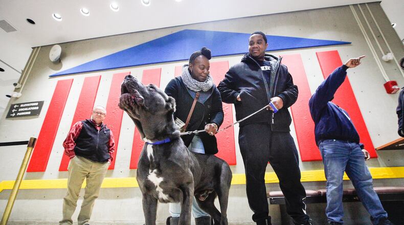 Montgomery County’s No. 1 dog license issued this year went to Duke, a cane corso feared lost but reunited with his owners Semico and Anthony Harden more than four months after they were separated by a Memorial Day tornado. The dog and its owners from Trotwood are seen at an event Wednesday promoting the sale of 2020 dog tags, which go up in cost after Jan. 31. CHRIS STEWART/STAFF