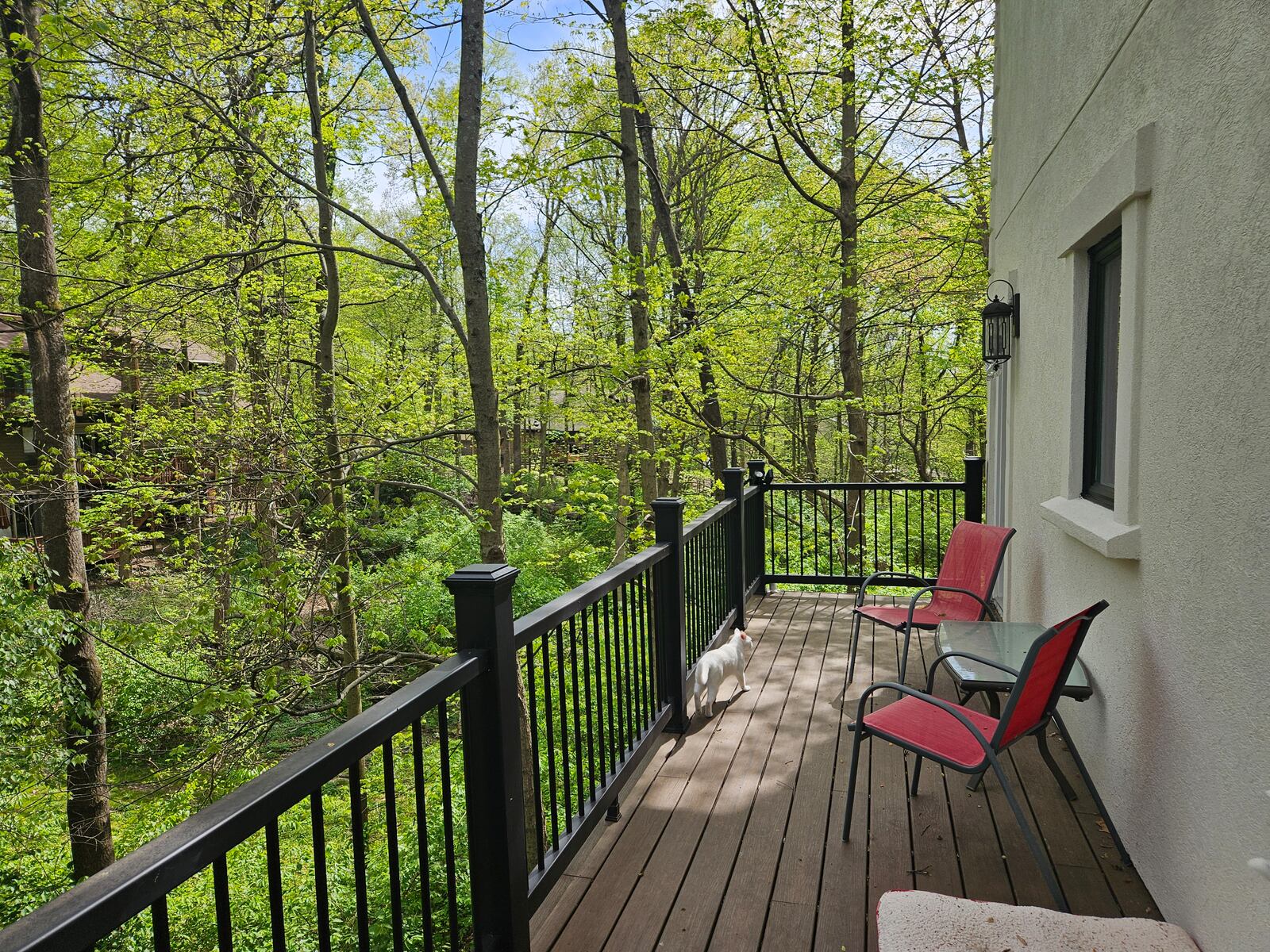 Nature can be enjoyed from the couple's deck. JESSICA GRAUE / CONTRIBUTED