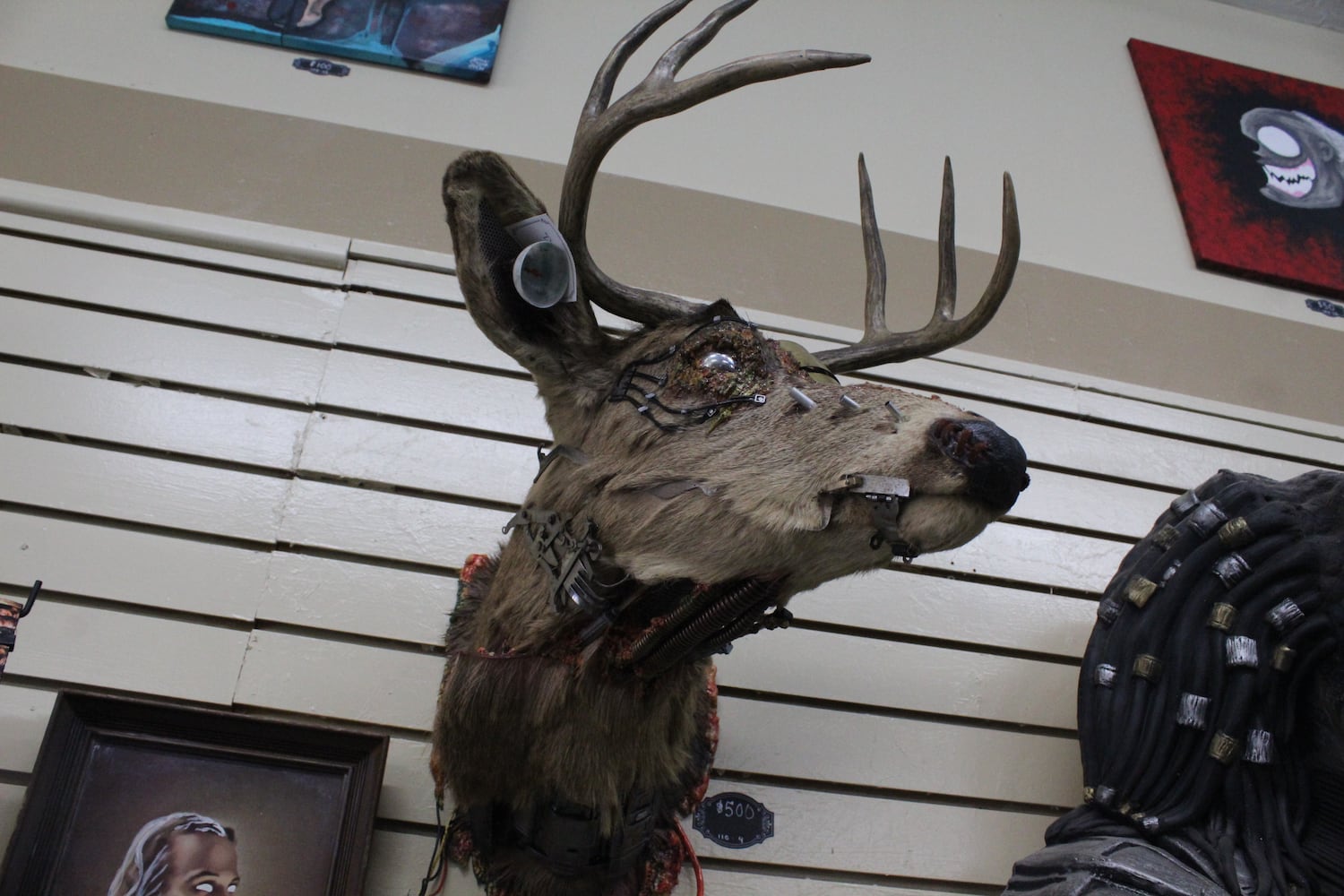 Photos: The Secret Chamber  House of Oddities and Art