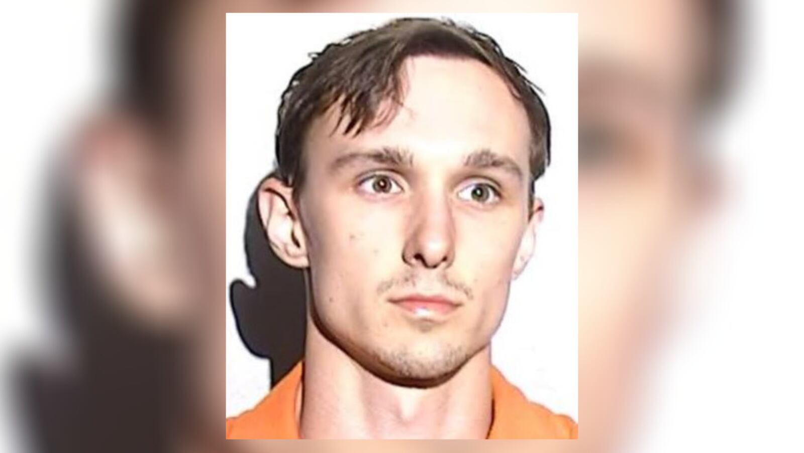Dominick Pickles. Photo courtesy of Maumee Police Division