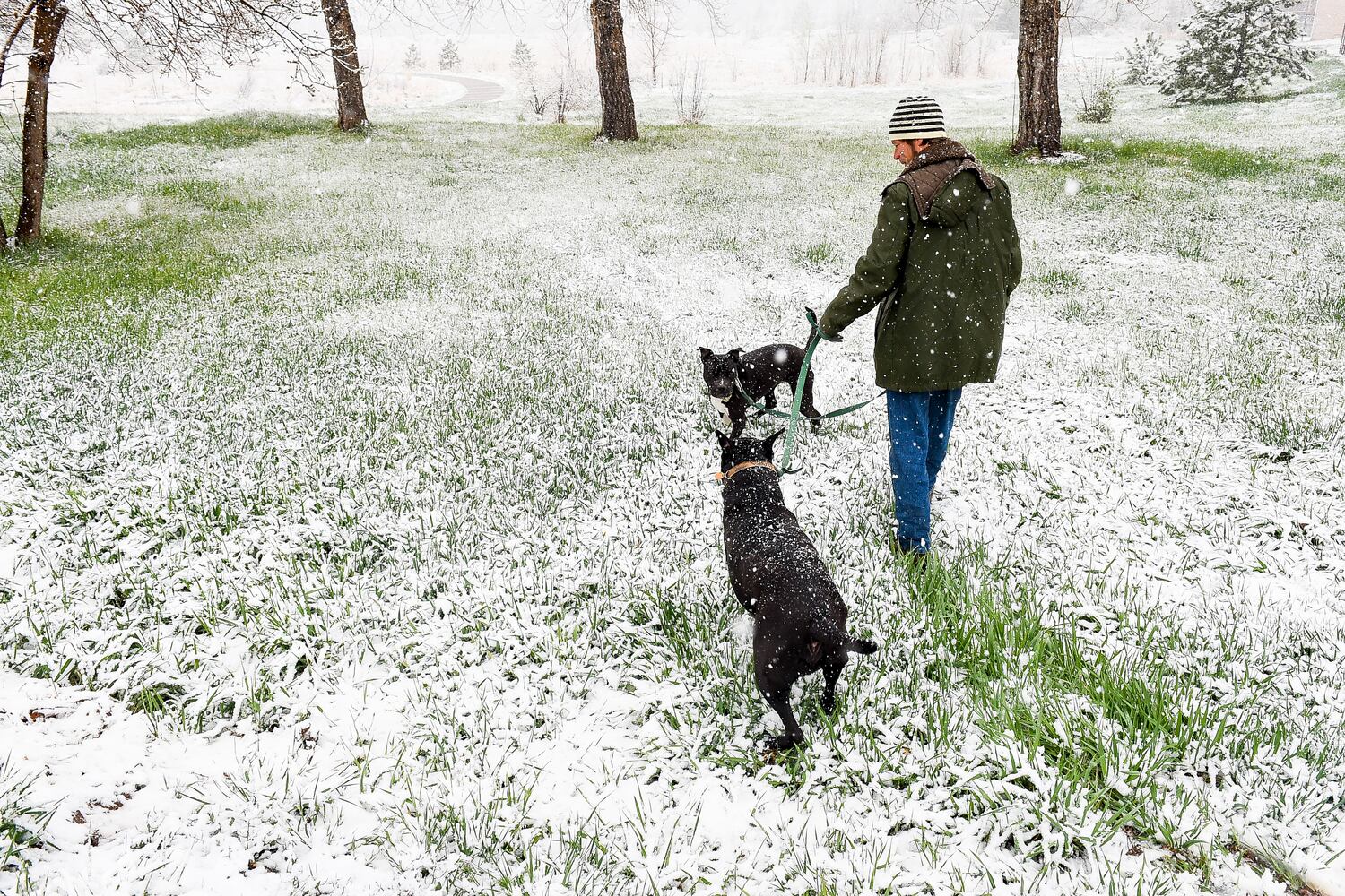 News hounds (4/23/15)