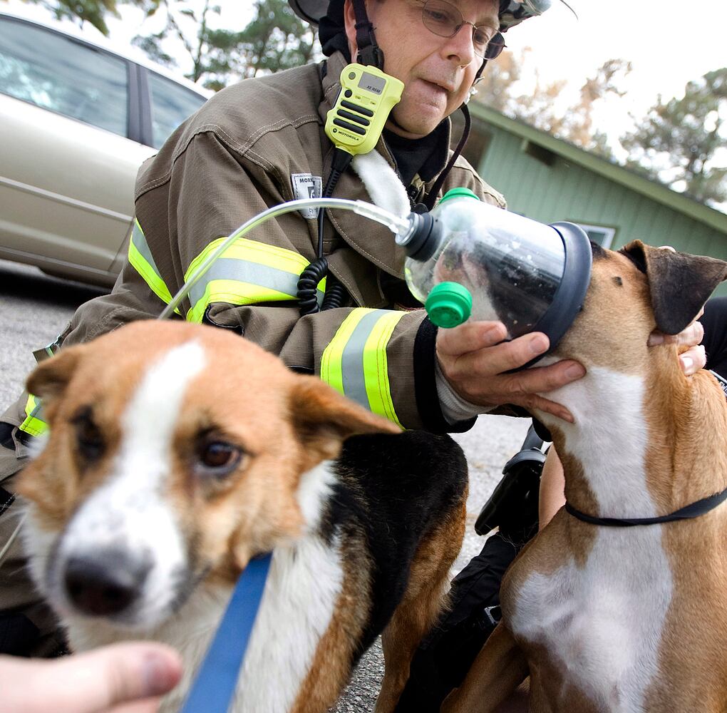 News hounds (12/12/2013)