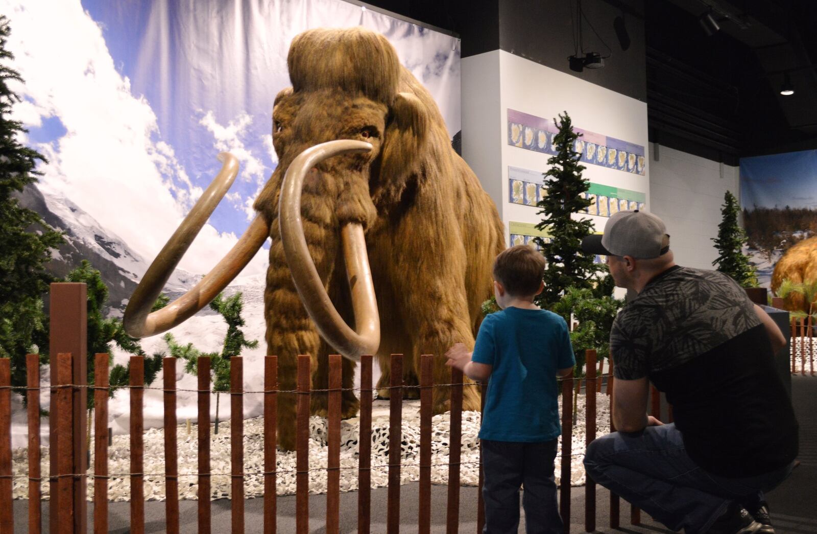 The exhibition, “The Age of Mammals and Ice,” will be on display at the Boonshoft through May 7. SUBMITTED PHOTO BY KRISTY CREEL